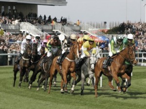 Gambling regulations