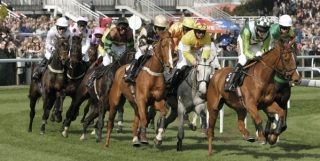 Gambling regulations